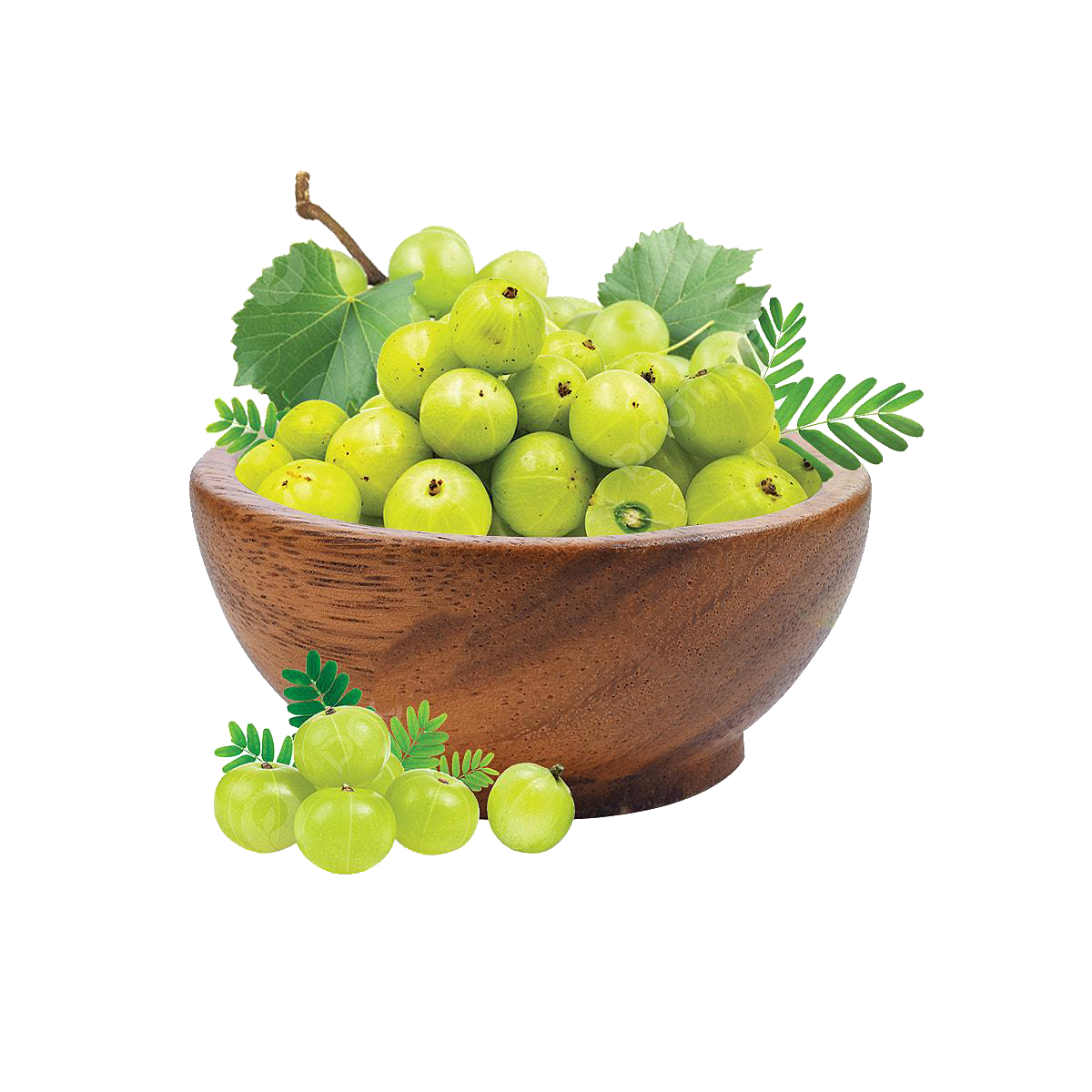 amla murabba icon